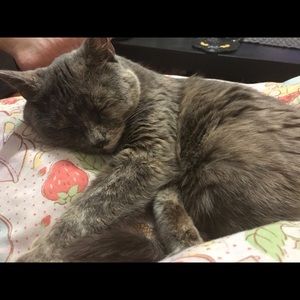 Meet your Posher, Amy